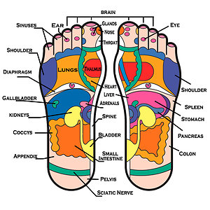 Reflexology. Reflexology Chart 2