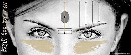 Facial Reflexology. Facial Reflexology Eyes (Large)